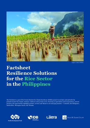 rice planting season in the philippines|Factsheet Resilience Solutions for the Rice Sector in the Philippines.